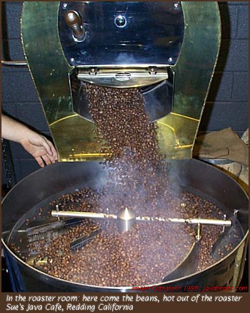 beans hot out of the roaster